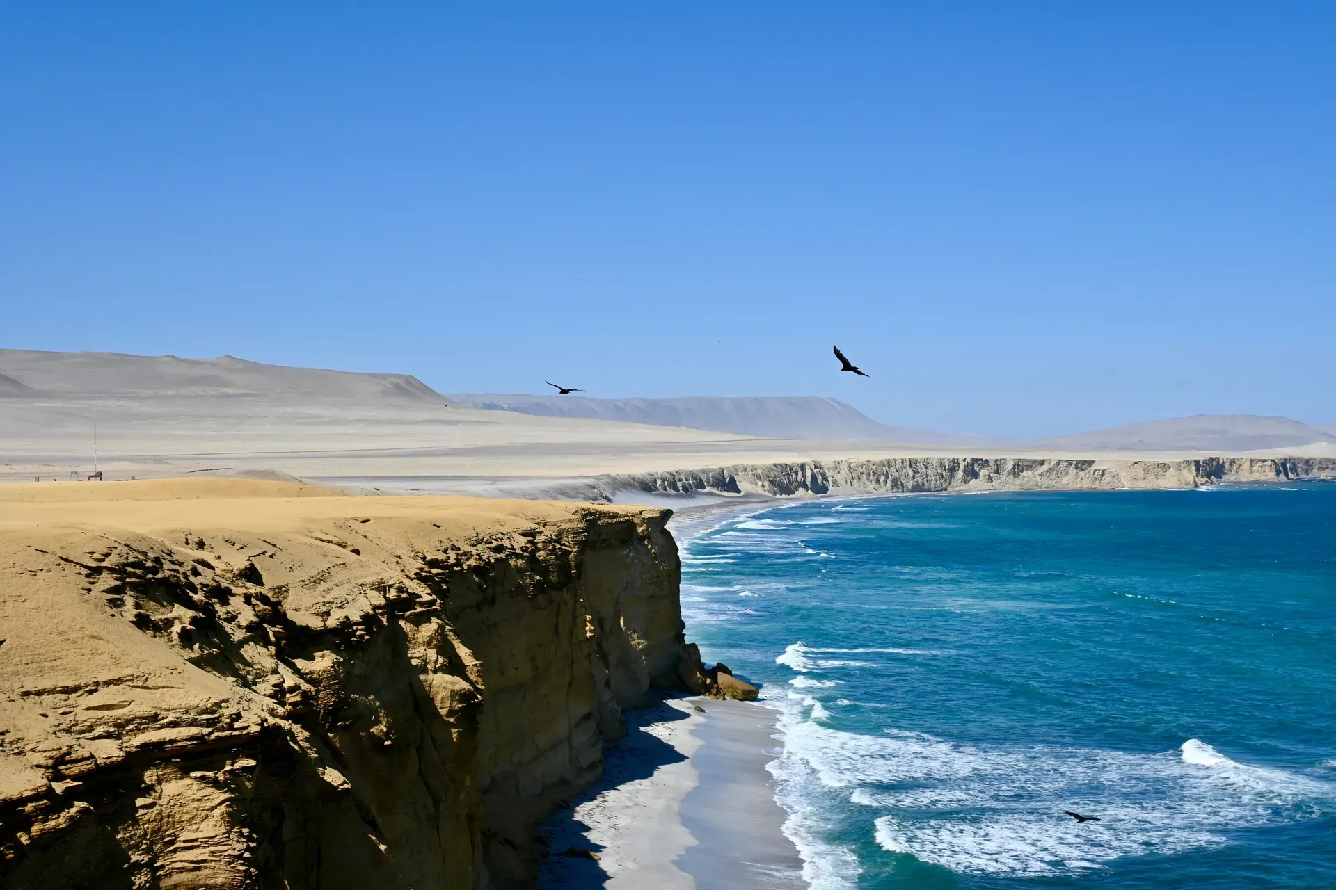 Paracas