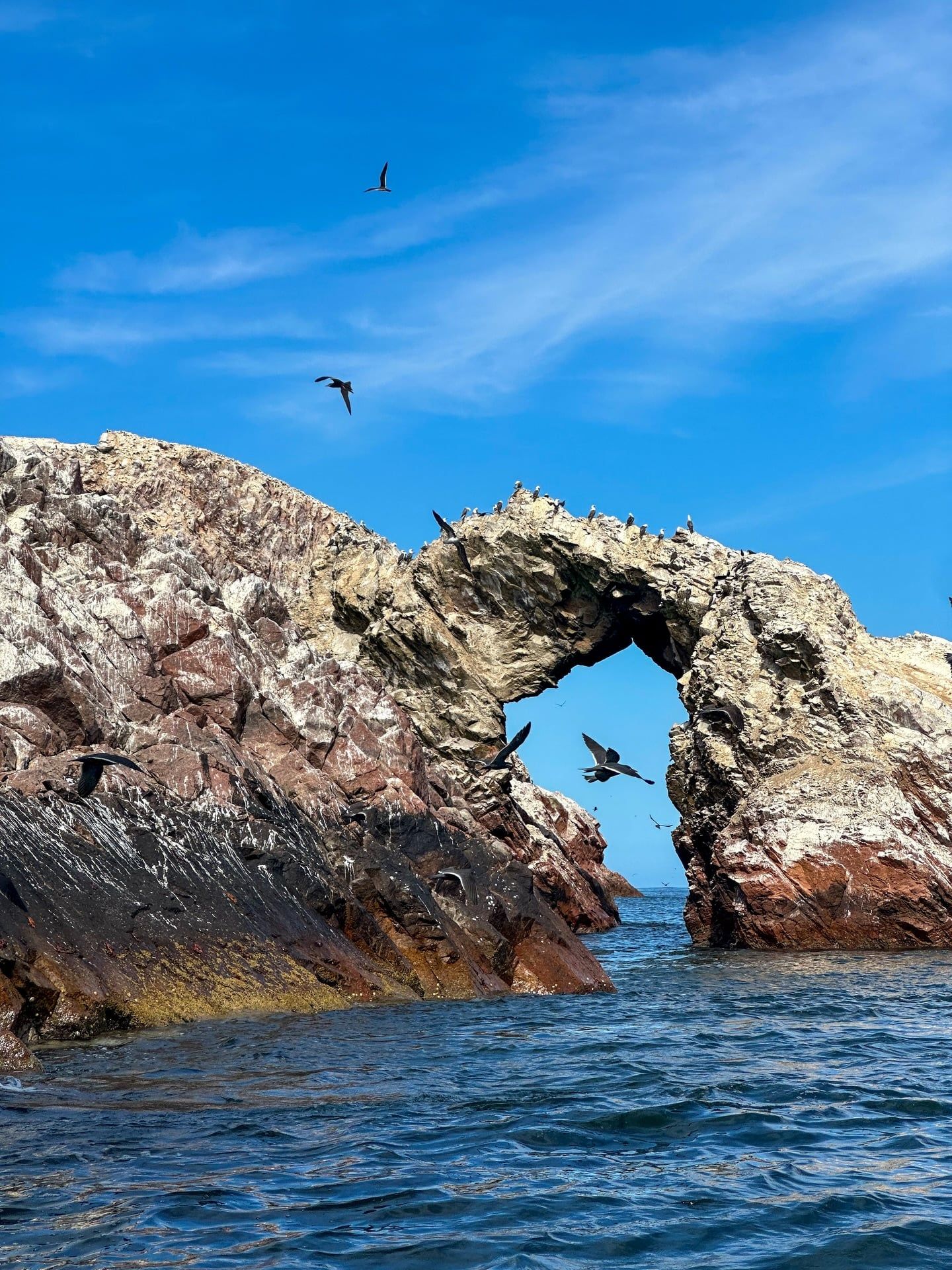 Vista de Paracas