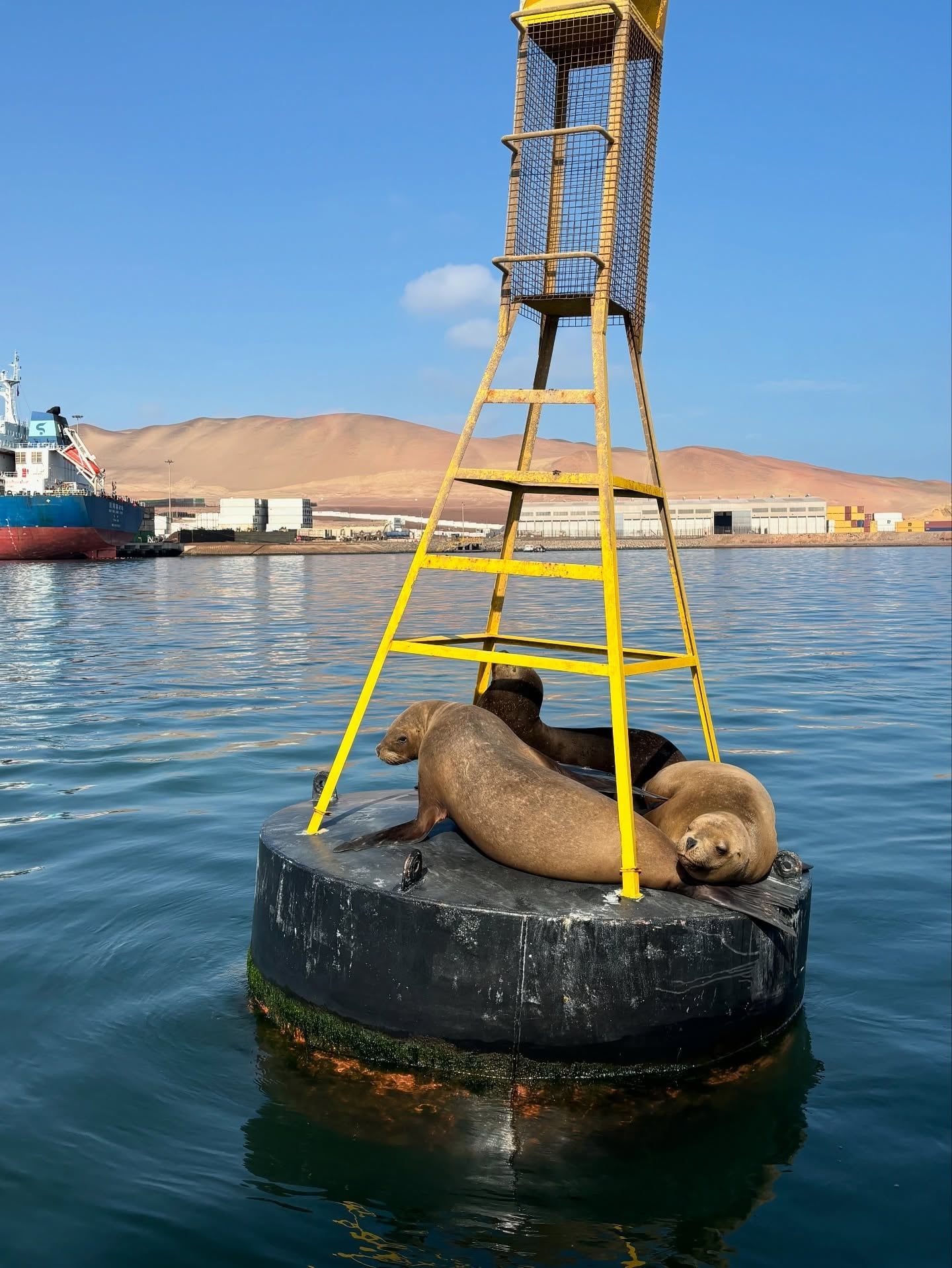Vista de Paracas